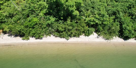 Terreno De Playa En La Bahía De Samana